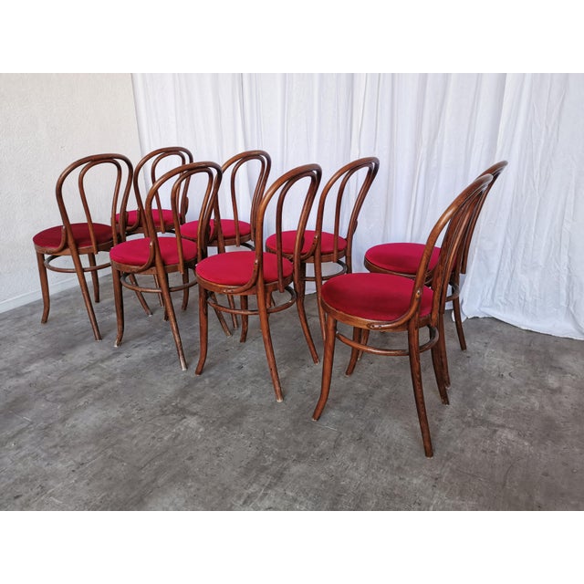 Vintage Bentwood Bistro Chairs, 1970s, Set of 8 For Sale - Image 17 of 18