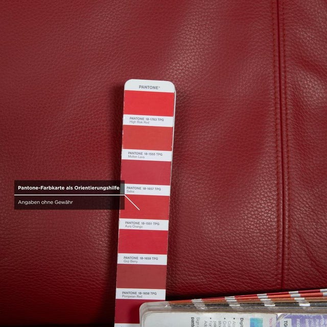 Red 545 Two-Seater Sofa in Leather from Rolf Benz For Sale - Image 8 of 13