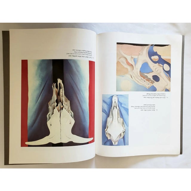 1980s 1985 Georgia O'Keeffe Monograph by Sasha M. Newman | the Phillips Collection For Sale - Image 5 of 18