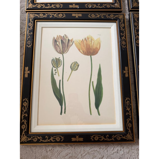 1990s Tulip Mania Set of Four Botanical Lithograph Prints From Scully & Scully in Black/Gold Scroll Frames - Set of 4 For Sale - Image 15 of 18