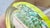 Glass Mid-20th Century Large Murano Glass Millefiori Paperweight For Sale - Image 7 of 7