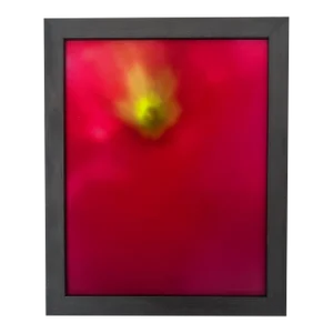 Power Flower (Study I) Abstract Botanical Photograph by Natalie Mitchell