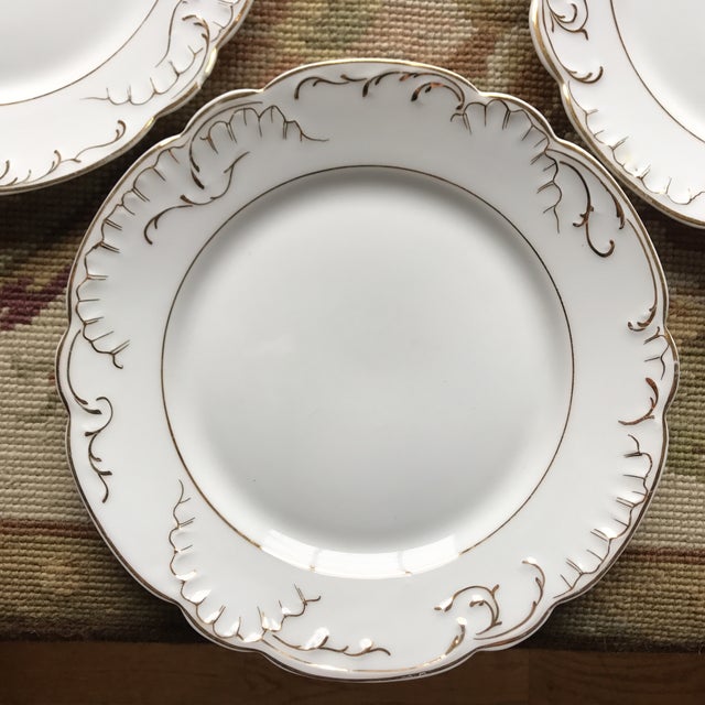 Vintage German White & Gold Porcelain Luncheon Dessert Plates Set of