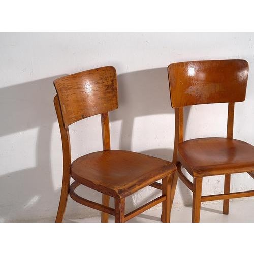Vintage dining chairs (c.1950)Dimensions: Length: 40 cm Depth: 42 cm Height: 82 cm Seat: 46 cmStyle: Vienna...