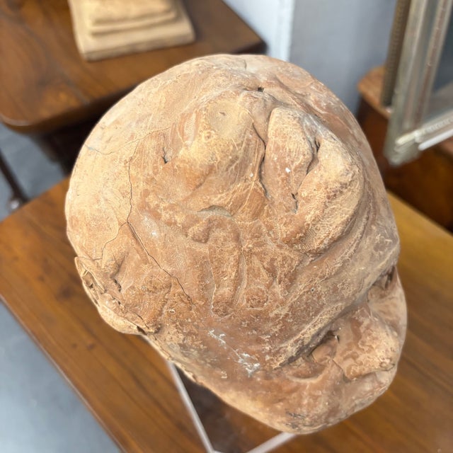 19th Century Terracotta Putto Angel Head Sculpture on Acrylic Base For Sale - Image 9 of 10