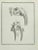 Animal's skeleton is an etching realized in 1771 by Louis Legrand (1723-1807). Signed in flat. The Artwork Belongs to the...