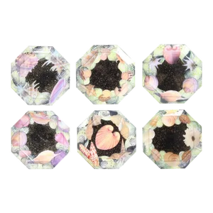 Set of Six Reverse Decoupage Seashell Glass Plates by Pablo Manzoni