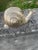 Vintage Mid-Century Modern Silver Brass Snail Figurine – Large Heavy Metal Snail Paperweight Sculpture, Hollywood Regency Table Decor For Sale - Image 10 of 12