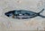 Contemporary Sardine Oil Painting, Framed For Sale - Image 4 of 5