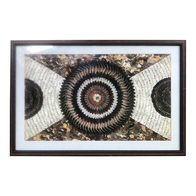 Vintage Butterfly Wing Kaleidoscope Art For Sale
