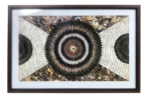 Vintage Butterfly Wing Kaleidoscope Art