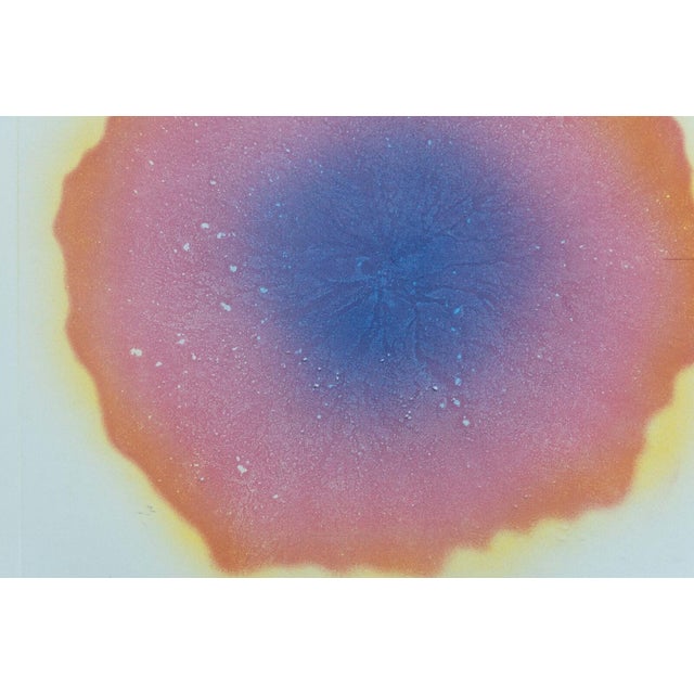 James Rosenquist Hot Lake (State 1) Signed Etching on Paper 26/78 Framed 1978 For Sale - Image 10 of 10