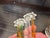 Hand Blown Glass Cocktail Muddler Drink Stirrer Swizzle Sticks For Sale - Image 14 of 18