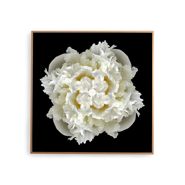 Contemporary "Peony Collage 4" Contemporary Botanical Limited Edition Photograph For Sale - Image 3 of 5