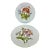 Late 20th Century 2pc-Bareuther Waldsassen (Bavaria) Botanical Porcelain Plate For Sale