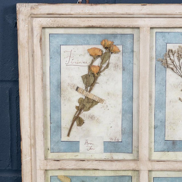 Large Italian Oak Frame Containing Pressed Flowers and Herbs, 1980s For Sale - Image 13 of 16