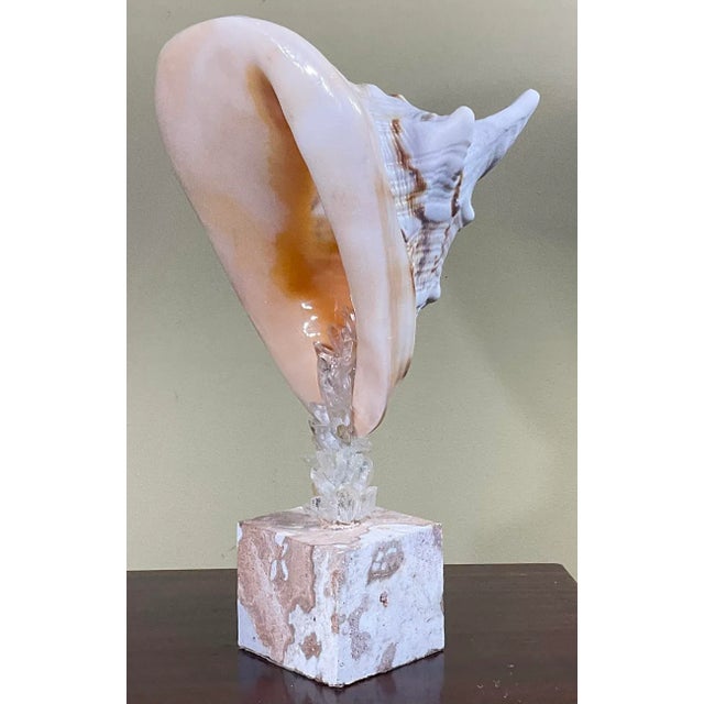 2020s Sea Shell and Quartz Crystal Sculpture by Joseph Malekan For Sale - Image 5 of 13