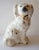 Late 20th Century Vintage Staffordshire Style Dogs - A Pair For Sale - Image 5 of 7