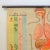 School Education Metabolism Poster from Hagemann Düsseldorf, 1950s, in Very Good conditions. Designed 1950 to 1959 This...