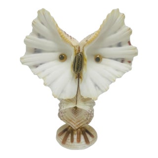 Vintage Shell Art Owl For Sale