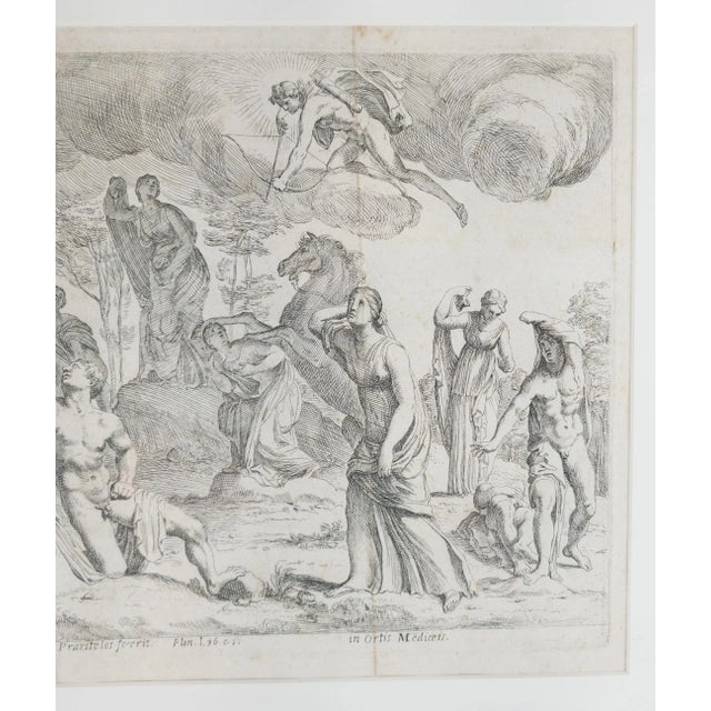 17th Century 17th Century French Copper Engraving Print by Francis Perrier For Sale - Image 5 of 10