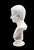 Grand Tour Italian Grand Tour Marble Bust of Augustus Caesar For Sale - Image 3 of 8