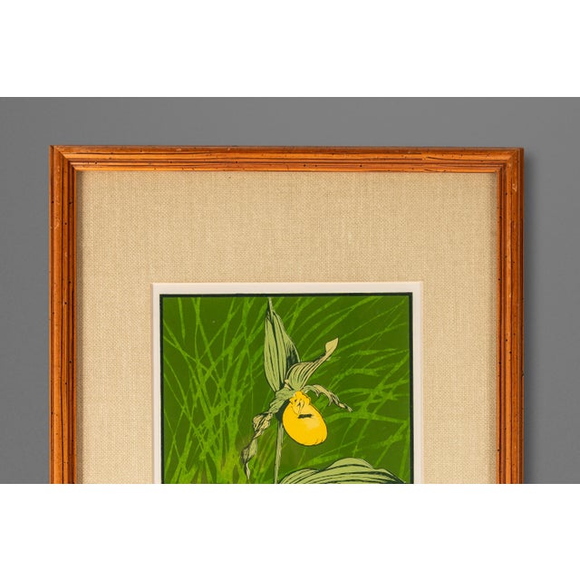 Mid-Century Modern Boho Chic 18/65 Framed & Signed Lithograph Print of a Lady's Slipper Orchid by John Cook, Usa, C. 1960s For Sale - Image 10 of 16
