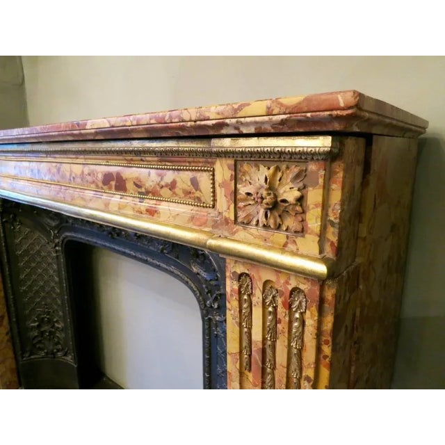 Louis XVI Fireplace Mantel in Breche Dalepp Marble For Sale - Image 3 of 8