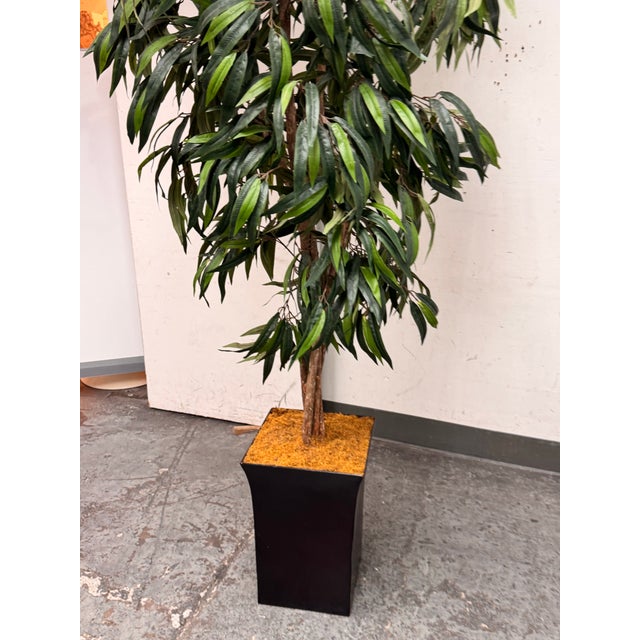 Black Faux Mango Tree + Tapered Black Planter For Sale - Image 8 of 12