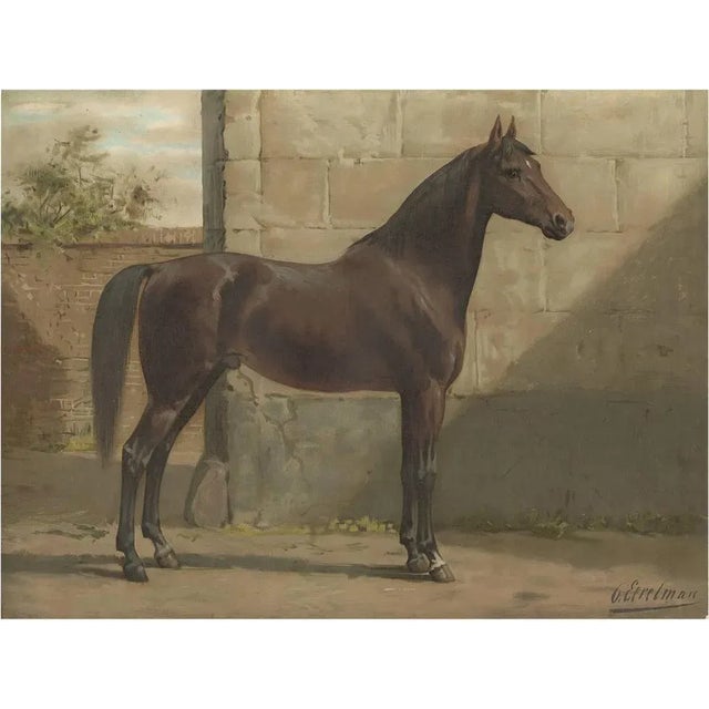 O. Eerelman, Illustration of the East Prussian Horse, 1898, Print For Sale - Image 8 of 8