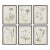 Wildflower Study, Set Of 6 For Sale