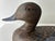 Vintage Decorative Green-Winged Teal Hen Duck Decoy For Sale - Image 4 of 11