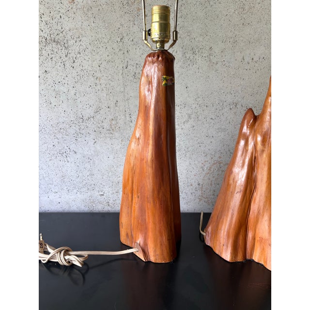 1950s 1950s Mid-Century Modern Cypress Root Table Lamps - Organic Modern Driftwood - a Pair For Sale - Image 5 of 7