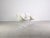 Swan Chair in White Leather by Arne Jacobsen for Fritz Hansen For Sale - Image 5 of 13
