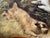 Cream Edward Armfield 19th Century a Sharp Lookout Terriers Ratting Oil Painting For Sale - Image 8 of 15