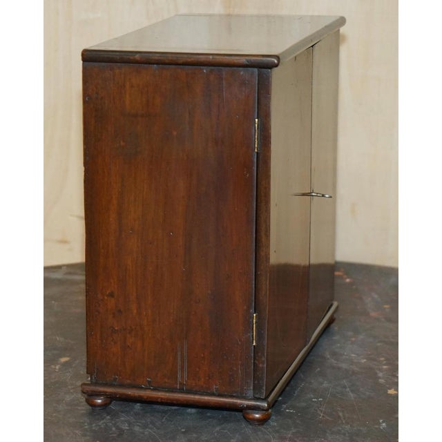 Georgian Sheraton Collectors Cabinet, 1820s For Sale - Image 13 of 18