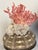 Shell 1970s Pair Ted Mediterranean Coral Branches on Urchins Assemblage For Sale - Image 7 of 7