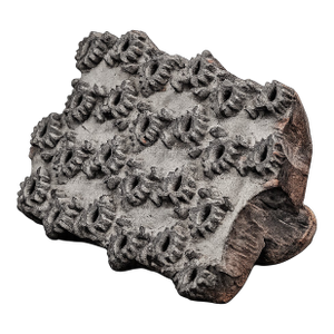 Amazing Antique Handmade Carved Wood Antique Asian Textile Printing Block Fabric Stamper Unique Bohemian Home Decor Object