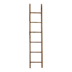 Antique Picking Ladder