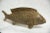 Large Bass Fish Standing Vintage African Bronze Sculpture For Sale - Image 4 of 9