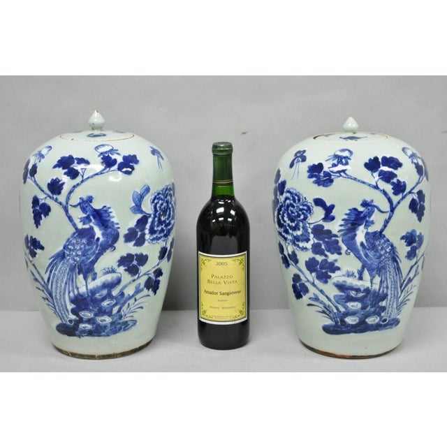 Antique Qing Chinese Phoenix Bird Cobalt Blue and Celadon Green Porcelain Covered Ginger Jars - a Pair. Circa Late 19th...