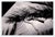 "Arecales Umbra Femina 7/10" Contemporary Original Black and White Nude Woman Photograph For Sale