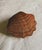 1970s Vintage Wicker Shell Storage Basket, 1970 For Sale - Image 5 of 5