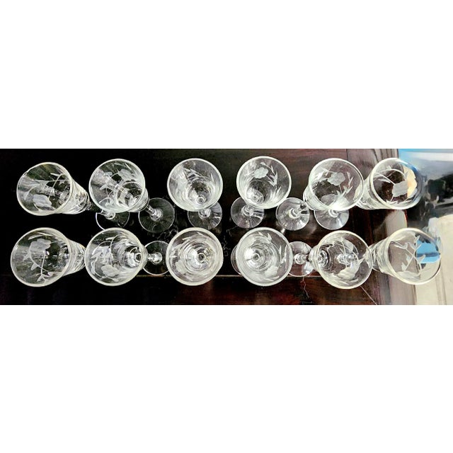 Glass Vintage Etched Fine Cordial Glasses - Set of 12 For Sale - Image 7 of 13