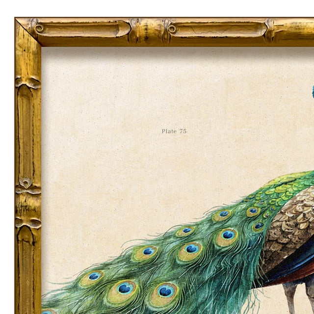 Various Artists Reproduction Vintage "Garden Friends" Art Print, Framed Peacock For Sale - Image 4 of 4