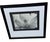 Abstract Imogen Cunningham's Iconic 1925 Black & White Photograph "Magnolia Blossom", Framed For Sale - Image 3 of 10