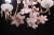 Pink Flowers Murano Chandelier, 1970s For Sale - Image 6 of 12