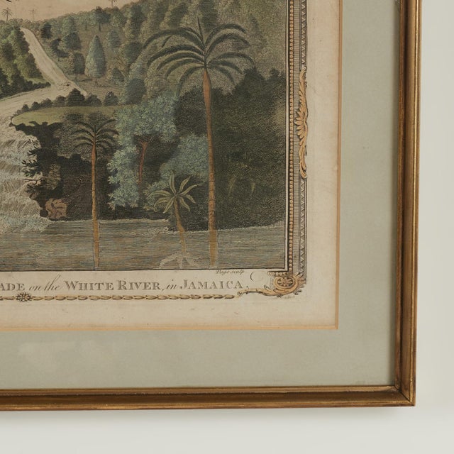 Antique Hand-Colored Engraving of a Jamaican Waterfall For Sale - Image 9 of 10