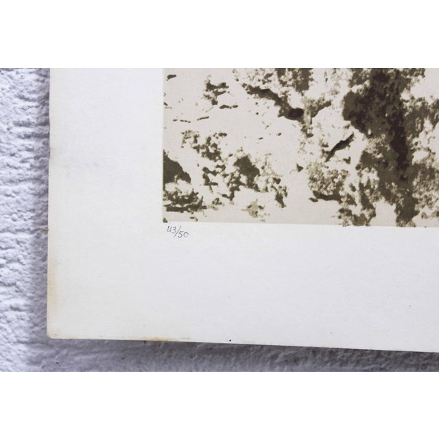 Klaus Littmann, Composition, 1972, Lithograph For Sale - Image 8 of 11