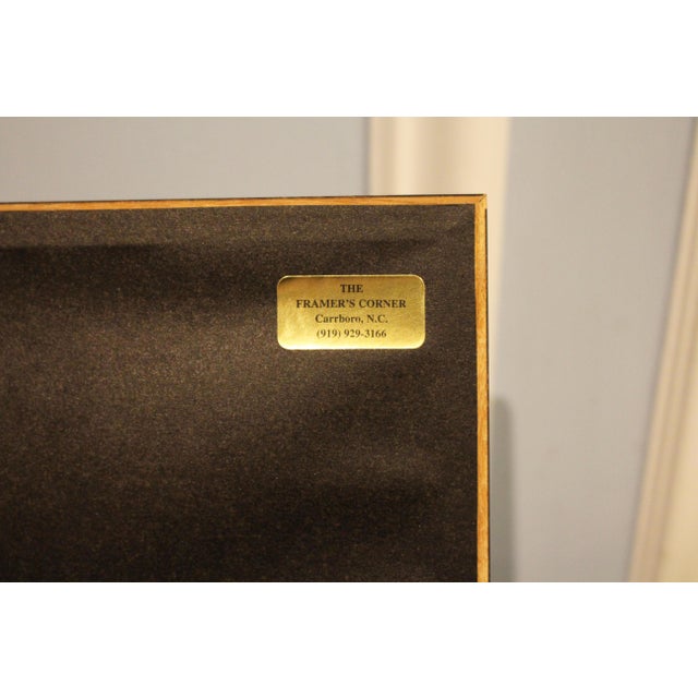 1970s English Framed Reproduction of Gould's Kaup's Flycatcher Lithograph For Sale - Image 9 of 9
